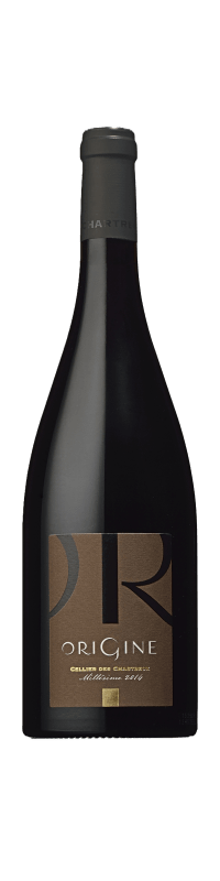 Origine Chartreux Rouge