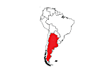 argentine